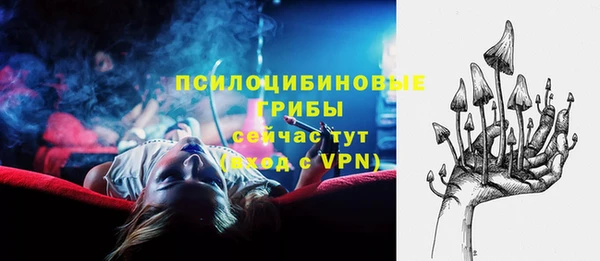 МДПВ Белокуриха