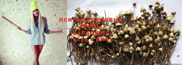 MDMA Белоозёрский