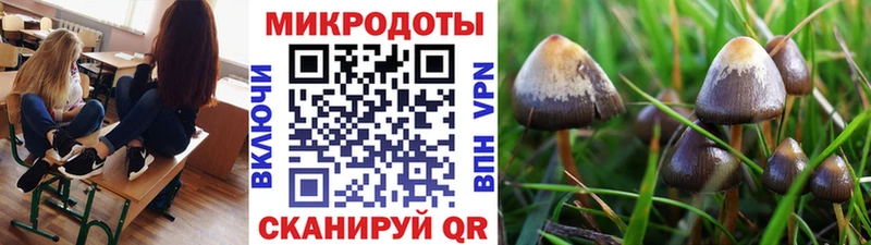 Галлюциногенные грибы GOLDEN TEACHER Саяногорск