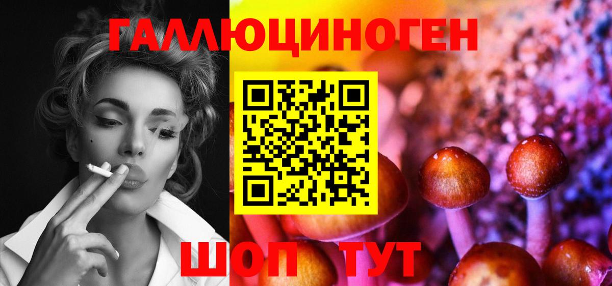 Галлюциногенные грибы GOLDEN TEACHER  Вход с VPN  Саяногорск 